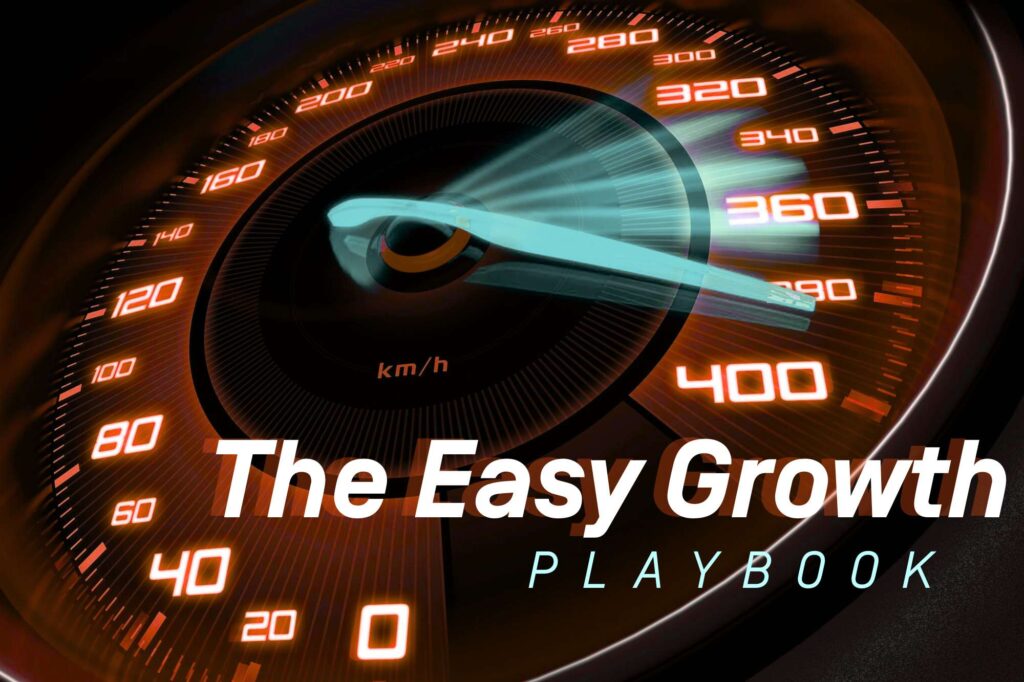 Easy Growth Playbook - Ebook - Blog